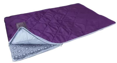 Quantum Energy Pad - Mini